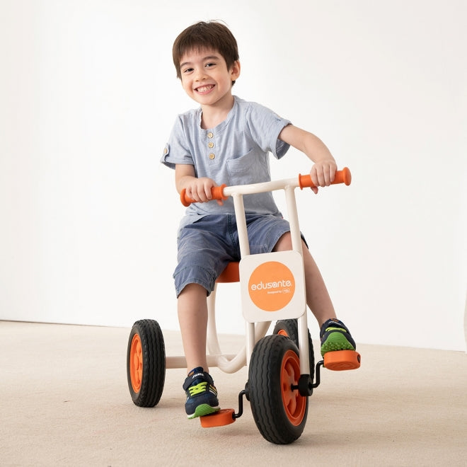 Weplay trike hot sale